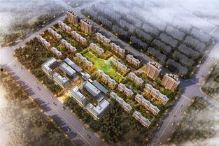 诸城半岛爆料事件视频,真相与争议的交织  第2张